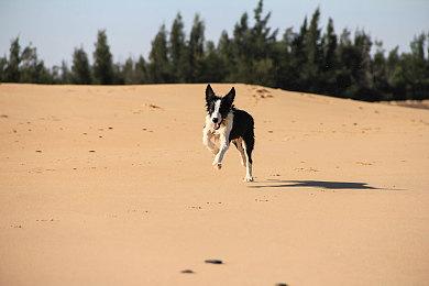 《堕落之主》V1.7版更新上线 Steam新史低促销